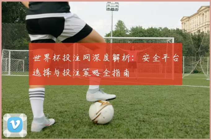 世界杯投注网深度解析:安全平台选择与投注策略全指南