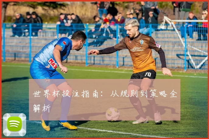 世界杯投注指南:从规则到策略全解析