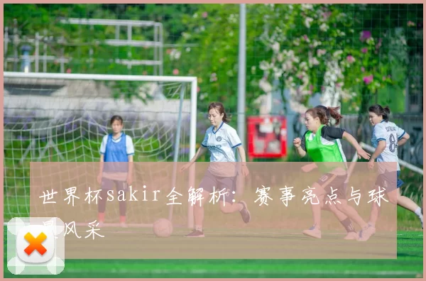 世界杯sakir全解析:赛事亮点与球星风采