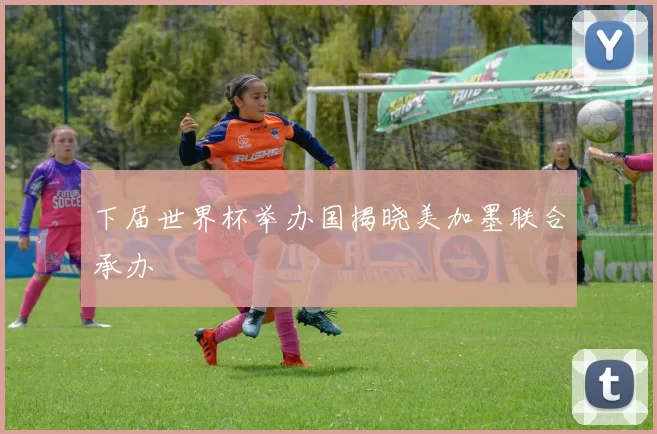下届世界杯举办国揭晓美加墨联合承办