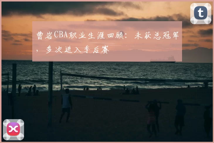 曹岩CBA职业生涯回顾：未获总冠军，多次进入季后赛