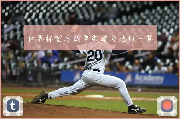 世界杯官方购票渠道与地址一览