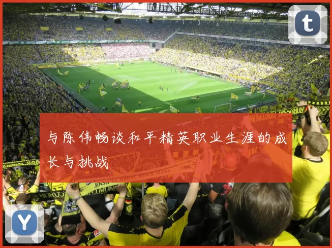 与陈伟畅谈和平精英职业生涯的成长与挑战