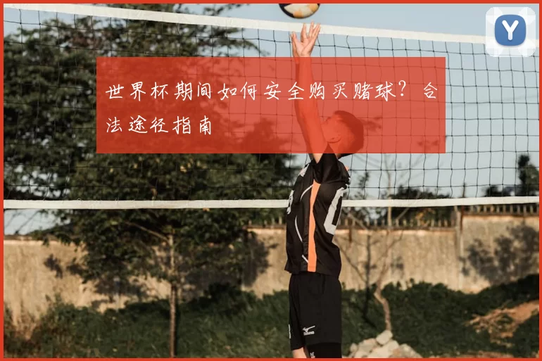 世界杯期间如何安全购买赌球?合法途径指南