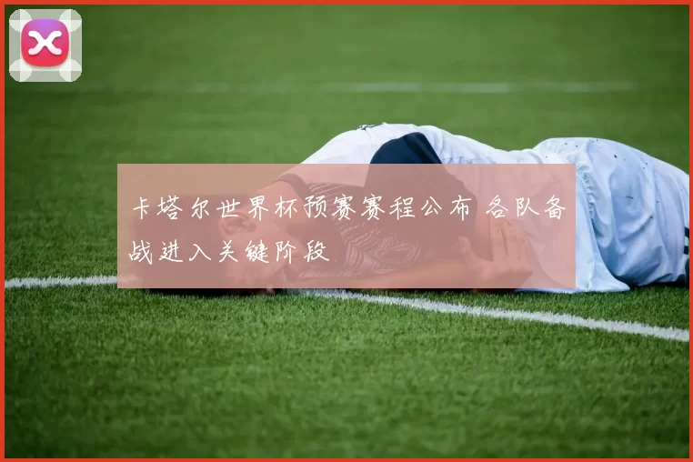 卡塔尔世界杯预赛赛程公布 各队备战进入关键阶段