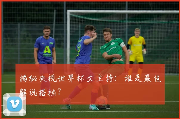 揭秘央视世界杯女主持：谁是最佳解说搭档？