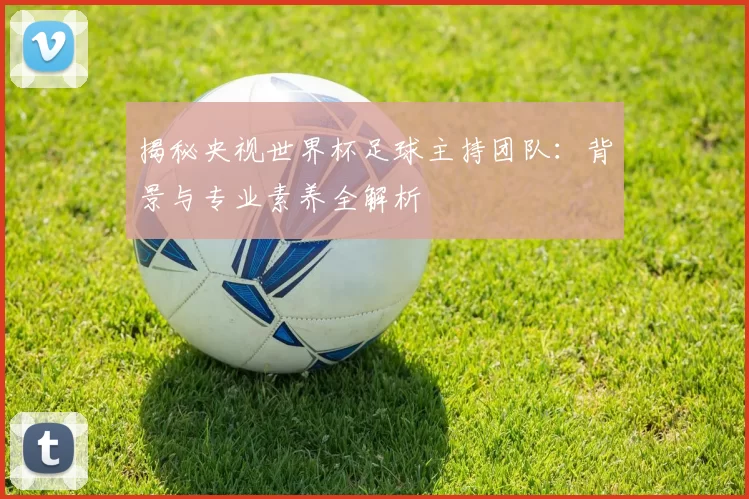 揭秘央视世界杯足球主持团队:背景与专业素养全解析