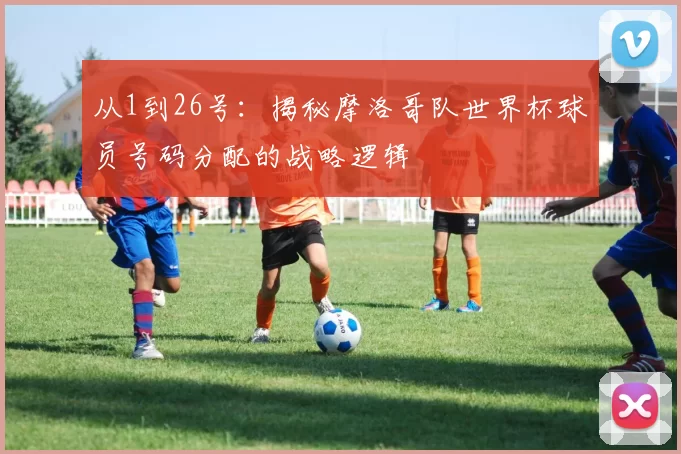 从1到26号:揭秘摩洛哥队世界杯球员号码分配的战略逻辑