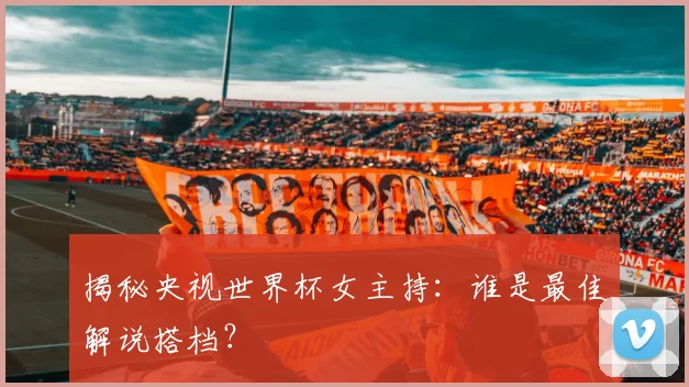 揭秘央视世界杯女主持:谁是最佳解说搭档?