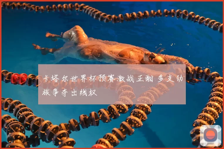 卡塔尔世界杯预赛激战正酣 多支劲旅争夺出线权
