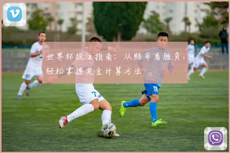 世界杯投注指南:从赔率看胜负,轻松掌握奖金计算方法