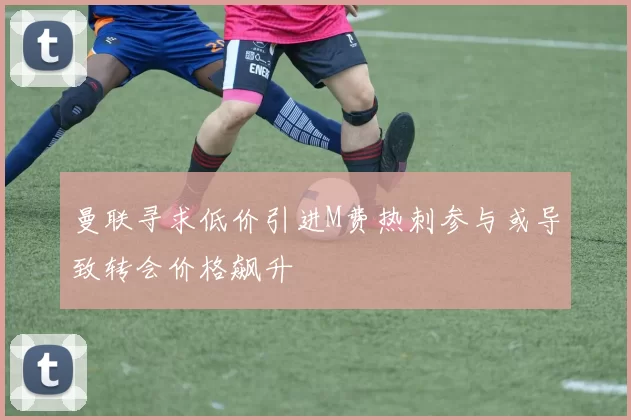 曼联寻求低价引进M费热刺参与或导致转会价格飙升