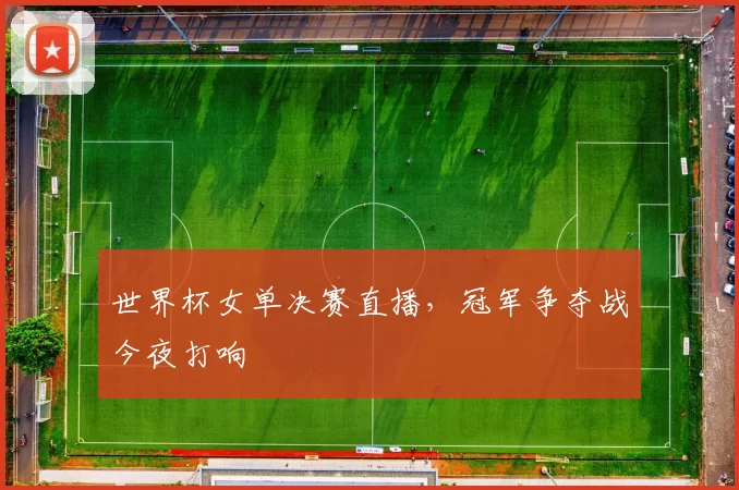 世界杯女单决赛直播,冠军争夺战今夜打响