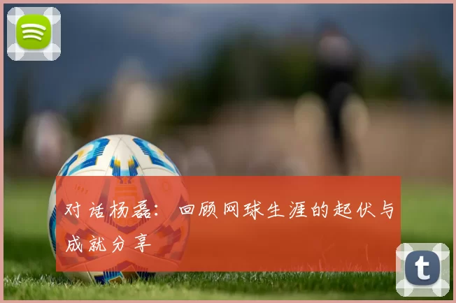 对话杨磊：回顾网球生涯的起伏与成就分享